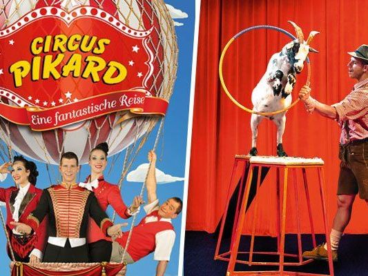Der niederösterreichische Circus Pikard ist auf Tournee. Der niederösterreichische Circus Pikard ist auf Tournee.