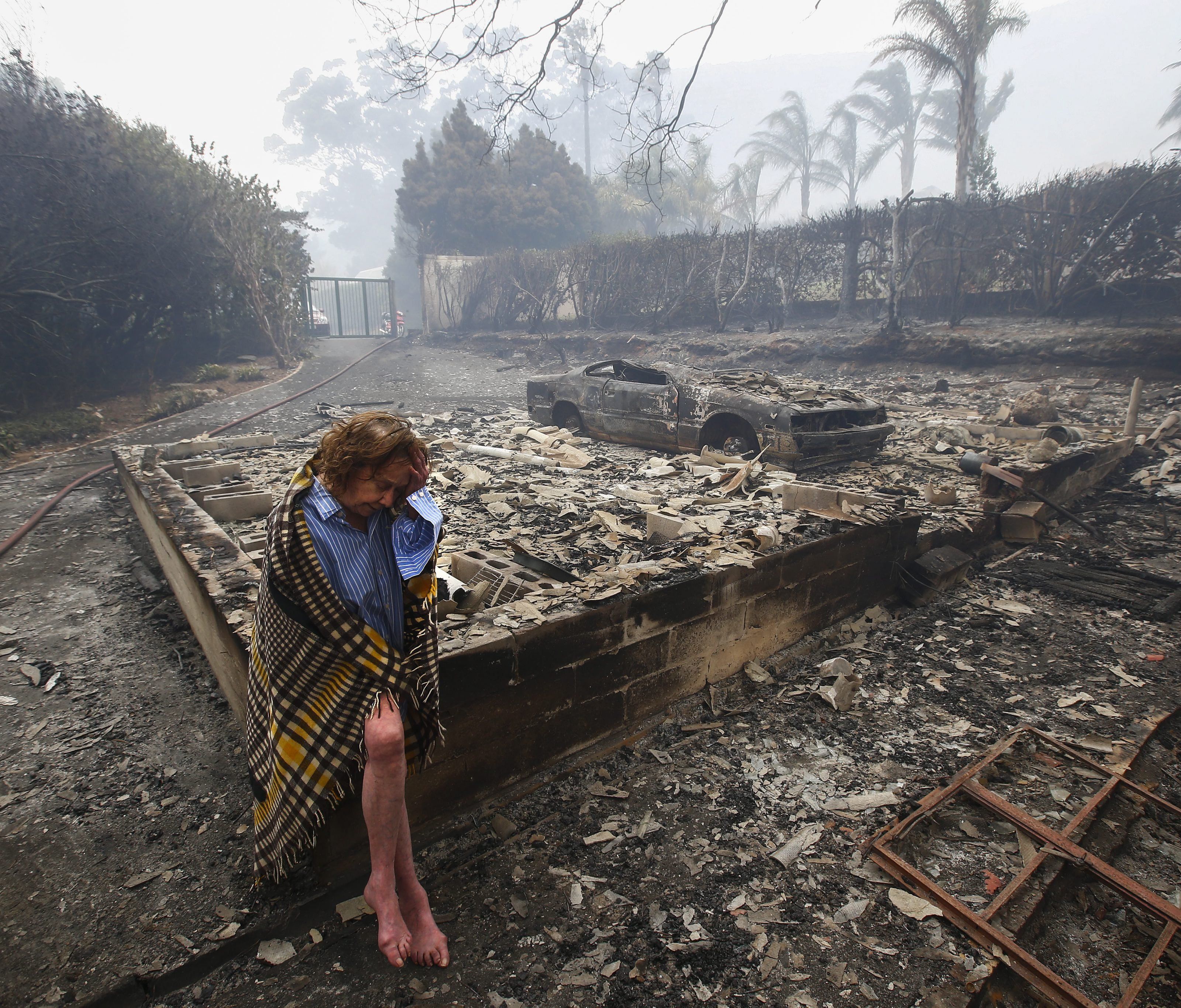 Auch tausende Hektar Land gingen bisher in Flammen auf.