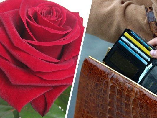 Taschendiebinnen fungieren mit Rosentrick in Wiens Parkanlagen Taschendiebinnen fungieren mit Rosentrick in Wiens Parkanlagen