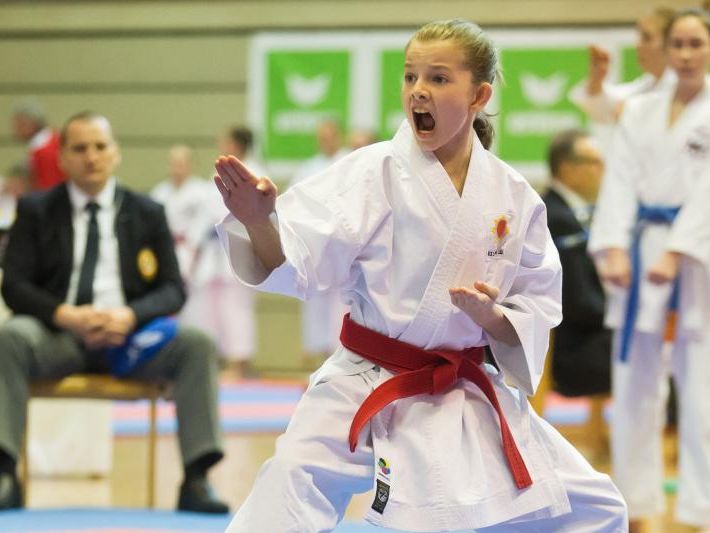 Die jungen Karatekas räumten beim Lions Cup in Lustenau ab. Die jungen Karatekas räumten beim Lions Cup in Lustenau ab.