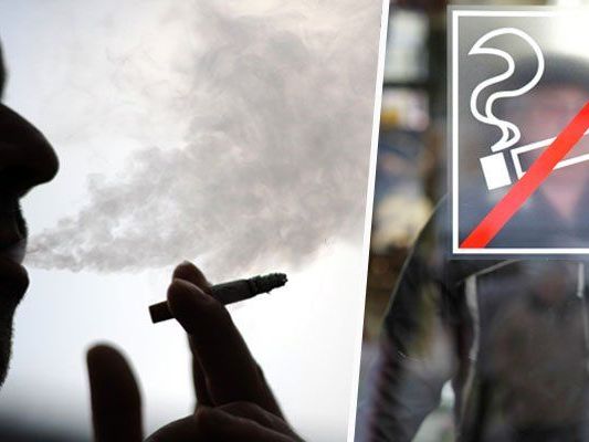 Generelles Rauchverbot - Wirte demonstrieren vor dem Parlament Generelles Rauchverbot - Wirte demonstrieren vor dem Parlament