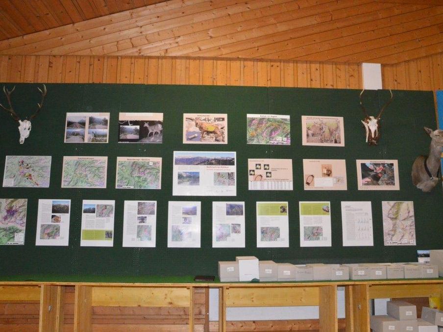 Präsentation Rotwildmarkierungsprojekt Präsentation Rotwildmarkierungsprojekt