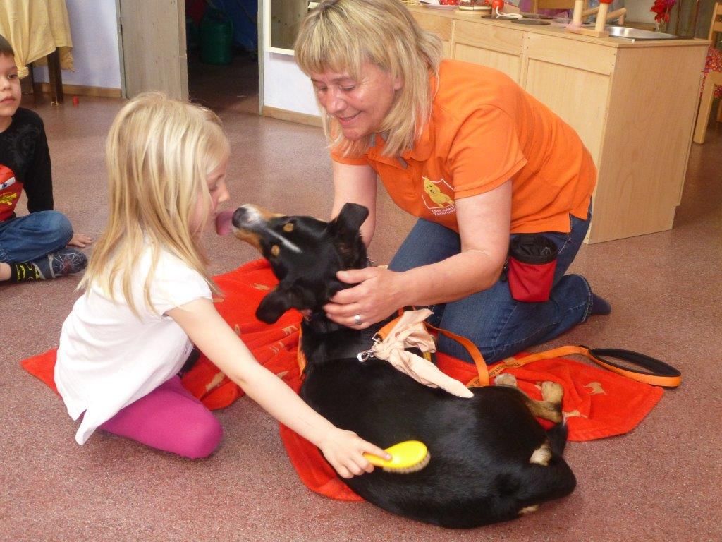 Die Kindergartenkinder durften das Gelernte an den beiden Hunden gleich "ausprobieren" Die Kindergartenkinder durften das Gelernte an den beiden Hunden gleich "ausprobieren"