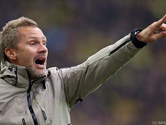 Fink hat bereits einige Erfolge vorzuweisen Fink hat bereits einige Erfolge vorzuweisen