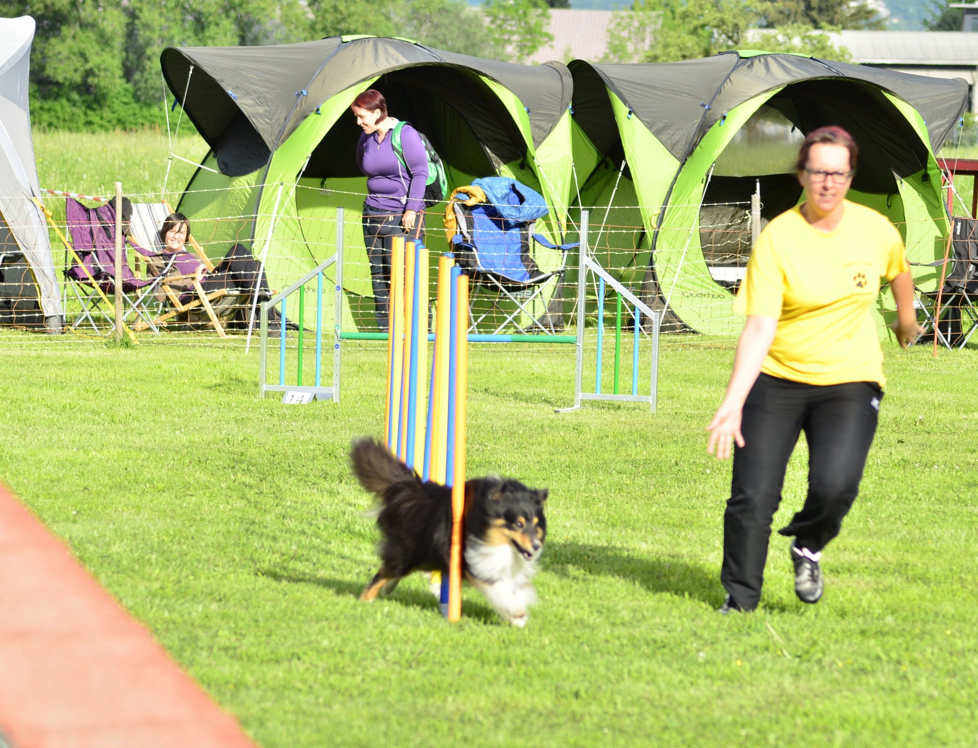Agility macht sowohl Herrchen als auch dem Vierbeiner Spaß. Agility macht sowohl Herrchen als auch dem Vierbeiner Spaß.