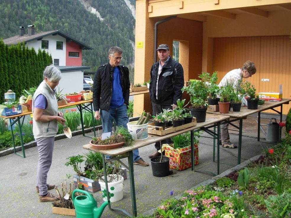 Pflanzentauschbörse Braz 2015 Pflanzentauschbörse Braz 2015