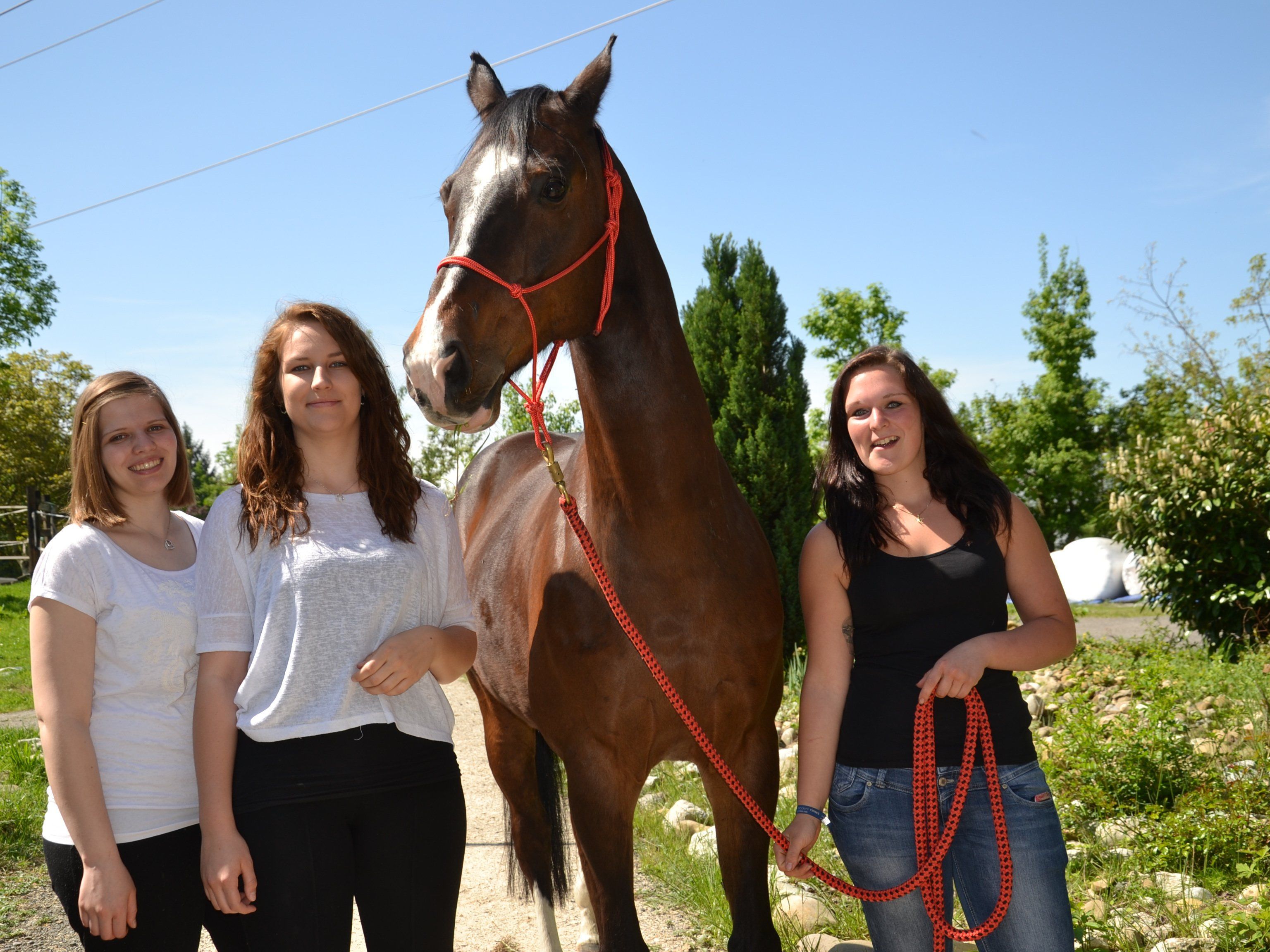 Auch Julia, Sabrina und Katharina nahmen am Extrix-Reitseminar am vergangenen Wochenende teil