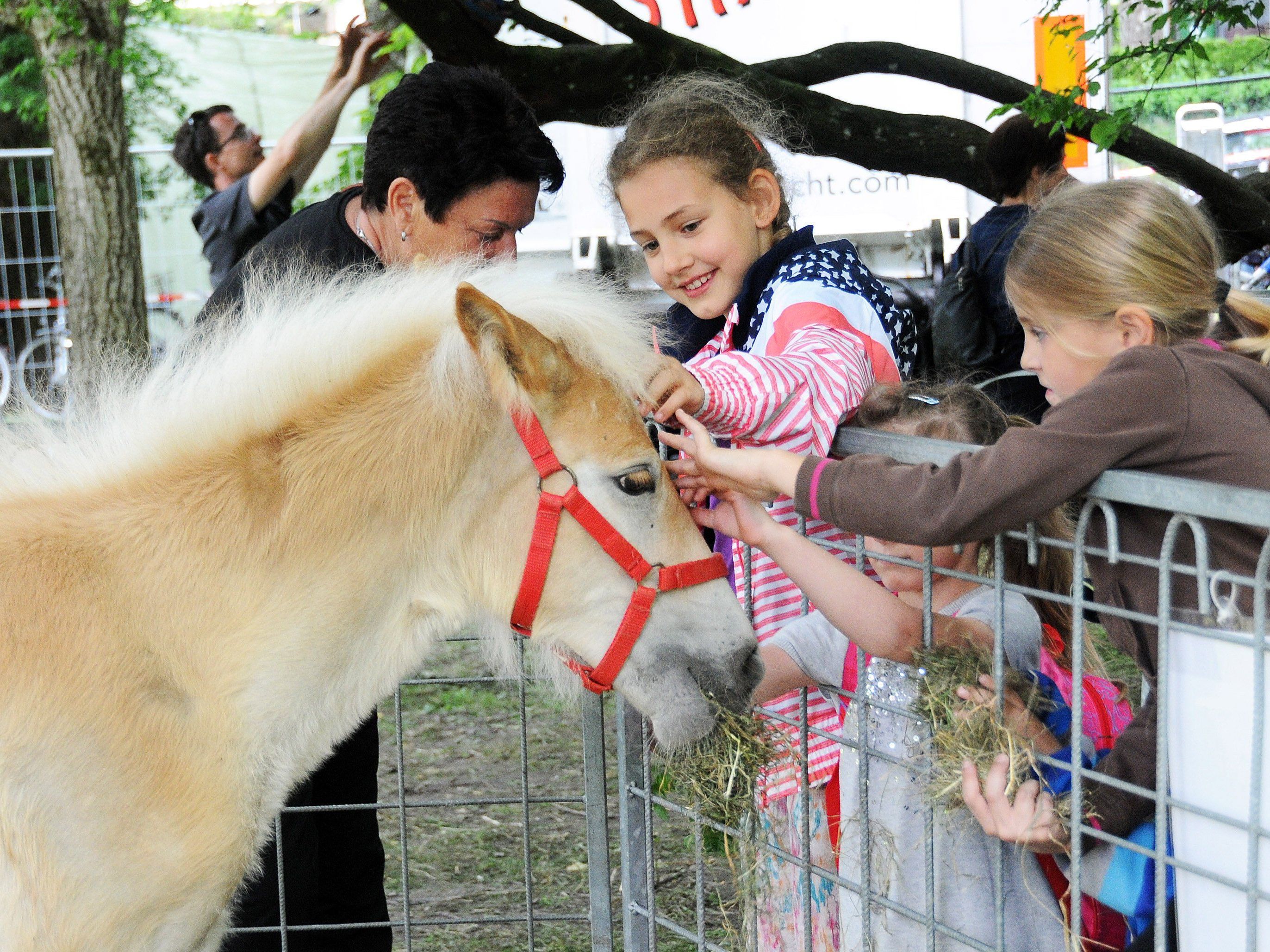 Junge und erwachsene Gäste zeigten sich von der Tierausstellung auf Luisls Farm begeistert. Junge und erwachsene Gäste zeigten sich von der Tierausstellung auf Luisls Farm begeistert.
