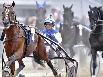 Mann in Wien lebensgefährlich verletzt Mann in Wien lebensgefährlich verletzt