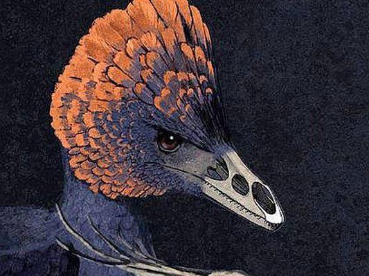 Künstlerische Darstellung eines vogelähnlichen Anchiornis-Dinosauriers.