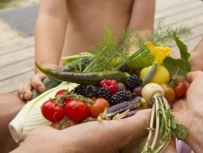 Der Kochkurs-  Probier amol klimafreundlich Kochen - ein Experiment findet in Rankweil statt. Der Kochkurs-  Probier amol klimafreundlich Kochen - ein Experiment findet in Rankweil statt.