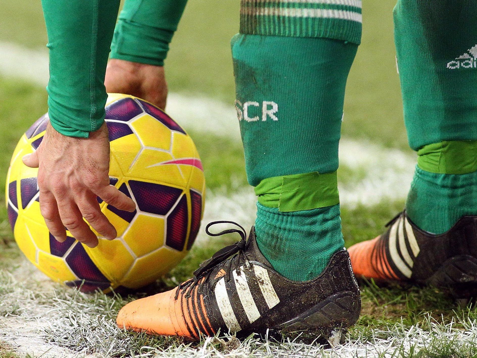 Der Rasen des Happel Stadions wurde zum besten der Bundesliga gekürt. Der Rasen des Happel Stadions wurde zum besten der Bundesliga gekürt.