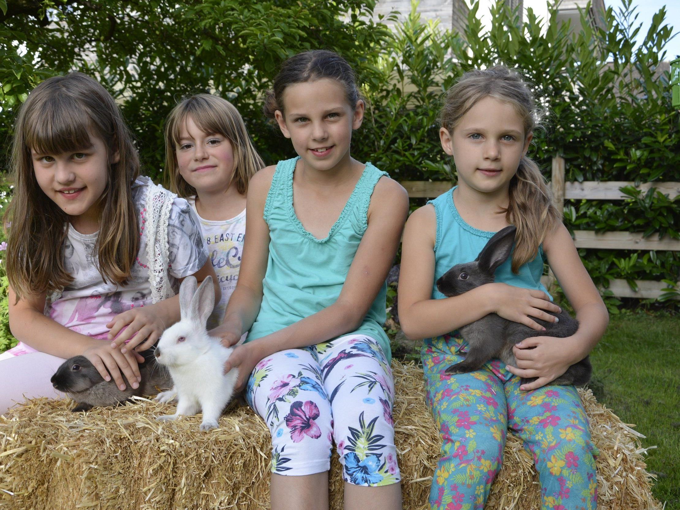 Lina, Larissa, Hannah und Selina freuen sich schon auf die Jungtierschau am Wochenende.