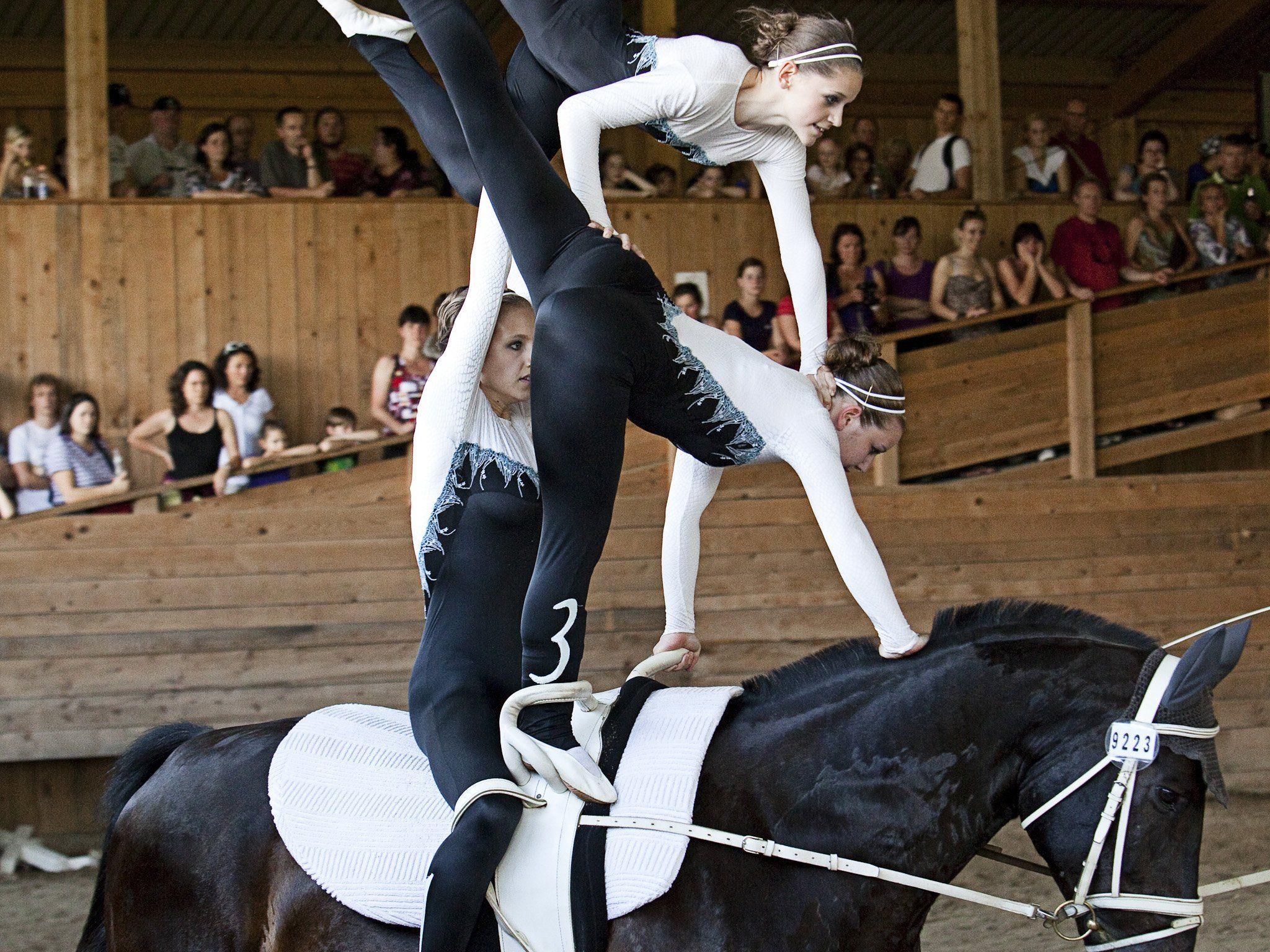 Voltigieren ist mehr als nur Sport. Bewegung in Harmonie mit dem Partner Pferd – live zu erleben beim Jubiläumsfest am 5. Juli in Lauterach.