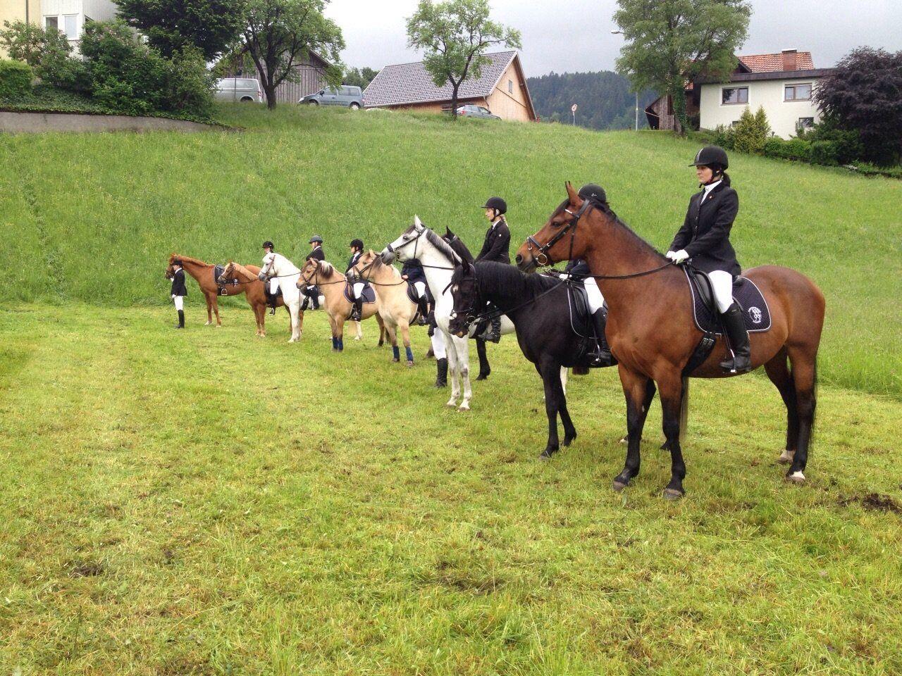 Verabschiedung von Wilfried Moser durch die Vorstandskollegen der Reitervereinigung Frastanz am 21. Mai 2015.