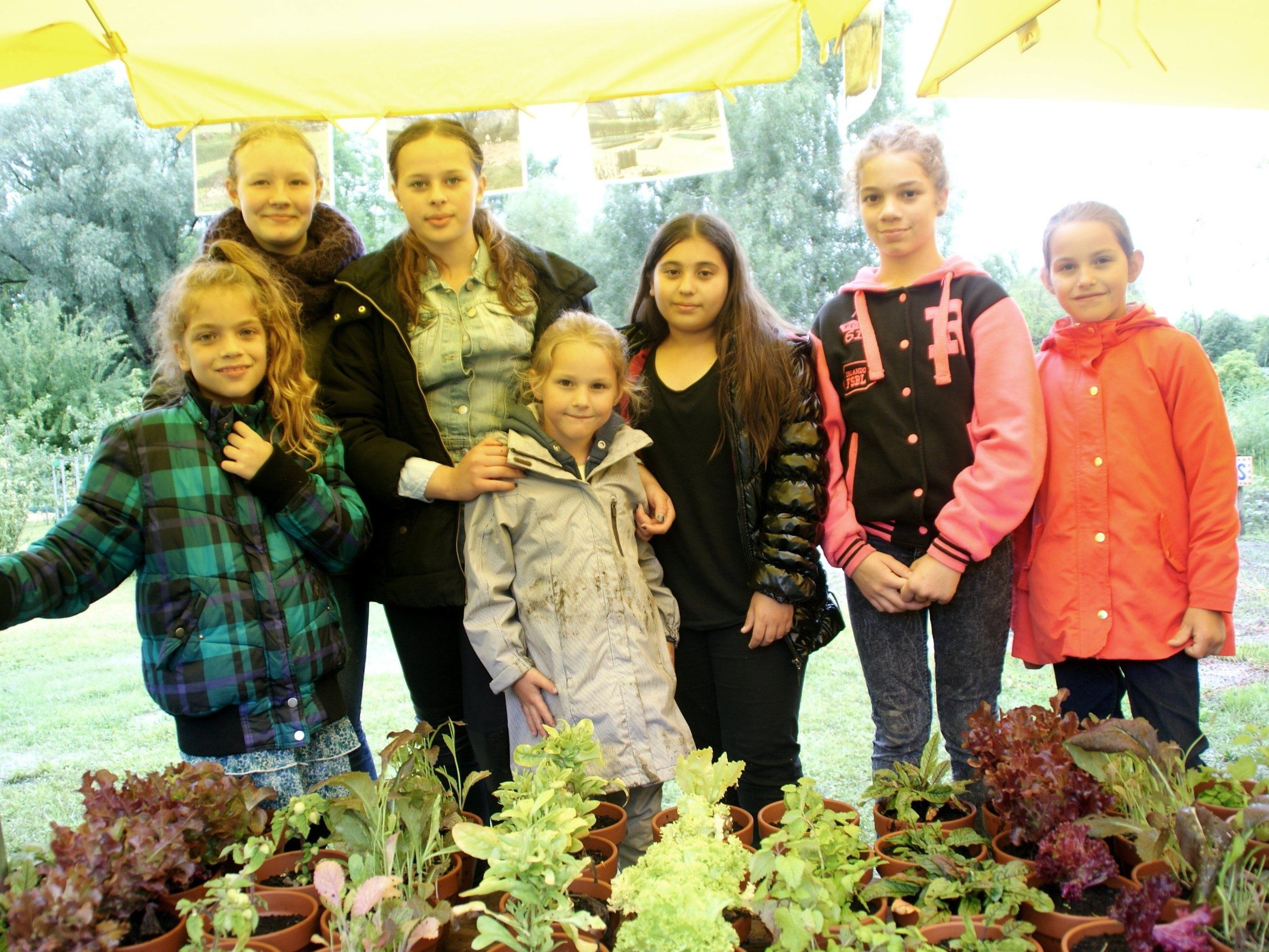 Nichts konnte die gute Laune der Sonnenfestler erschüttern Nichts konnte die gute Laune der Sonnenfestler erschüttern