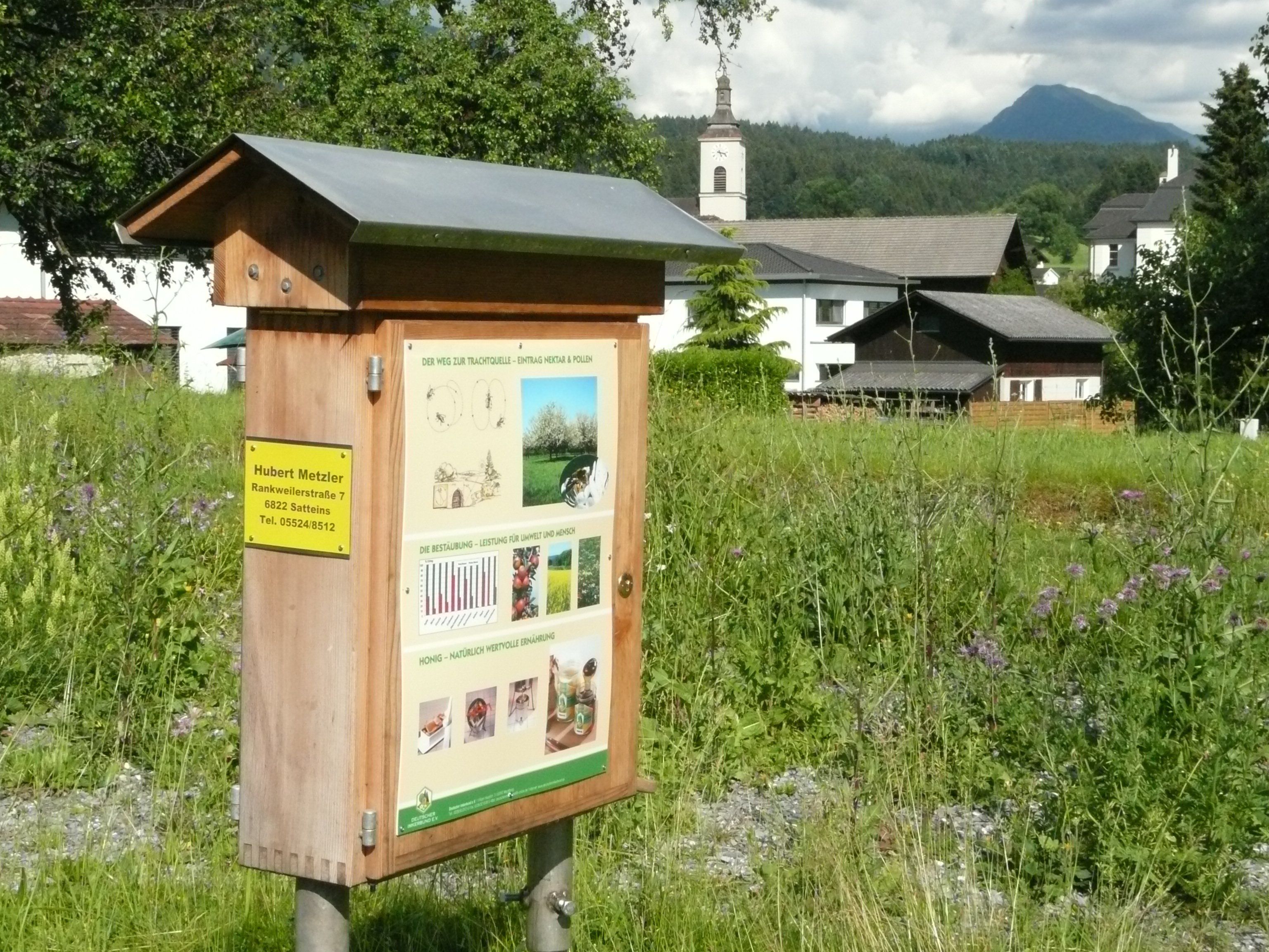 Spannenden Einblick gibt der Bienenschaukasten im Geißenpärkle Spannenden Einblick gibt der Bienenschaukasten im Geißenpärkle