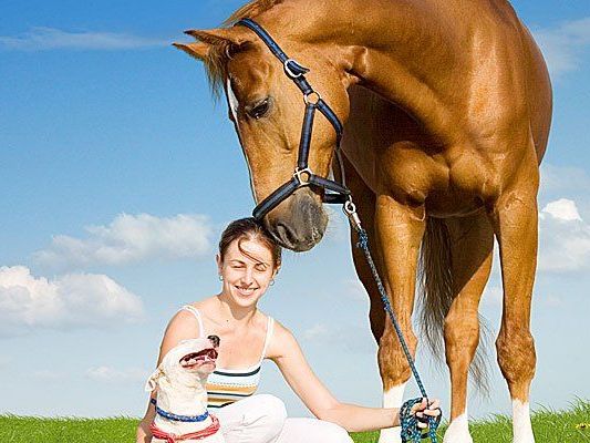 Das 1. Wiener Sattel-Fest findet in der Krieau statt Das 1. Wiener Sattel-Fest findet in der Krieau statt