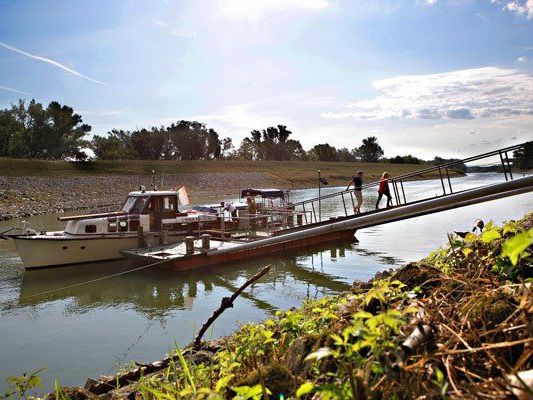Mit dem NationalparkBoot von der City direkt in den Nationalpark Donau-Auen Mit dem NationalparkBoot von der City direkt in den Nationalpark Donau-Auen