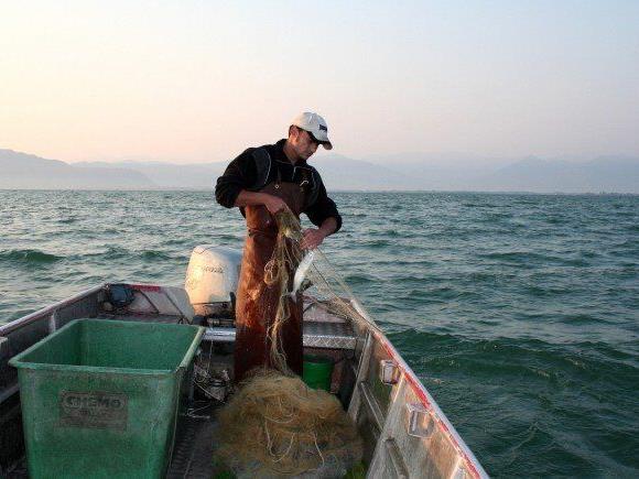 Erstmals wurde die Anzahl der Fischeripatente auf dem Bodensee reduziert.