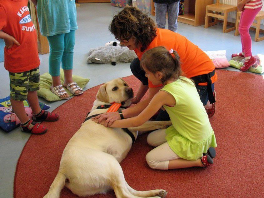 Vorstellung des Projektes "Hunde sicher verstehen" im Kindergarten Kunterbunt am See in Hard. Vorstellung des Projektes "Hunde sicher verstehen" im Kindergarten Kunterbunt am See in Hard.
