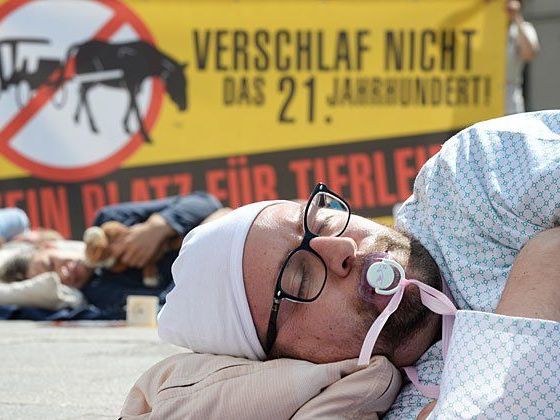 Aktivisten des Vereins gegen Tierfabriken (VGT) bei der Sleep-In-Aktion Aktivisten des Vereins gegen Tierfabriken (VGT) bei der Sleep-In-Aktion