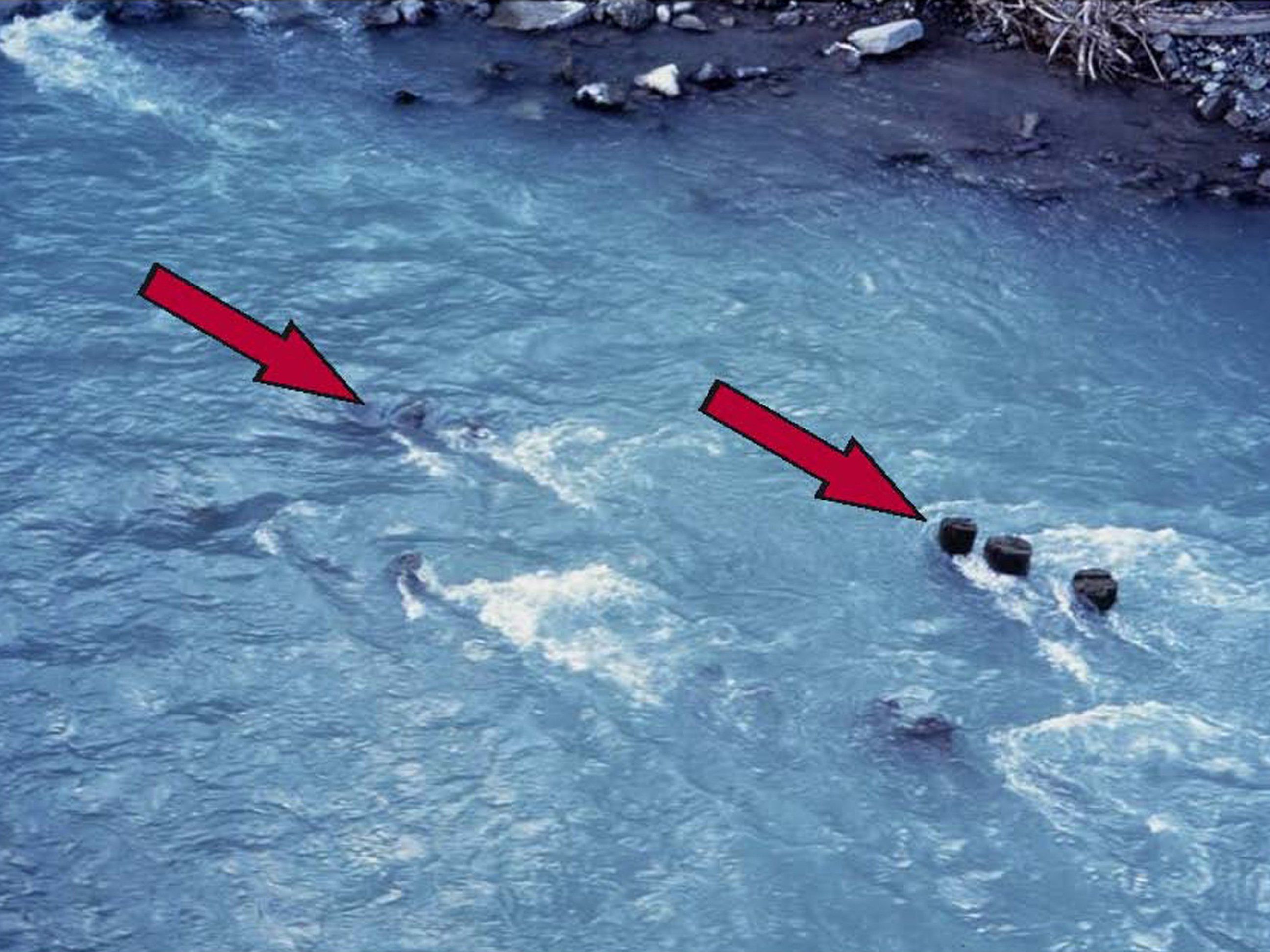 Große Vorsicht ist bei Wassersprüngen in unbekannte Tiefen angesagt. Große Vorsicht ist bei Wassersprüngen in unbekannte Tiefen angesagt.