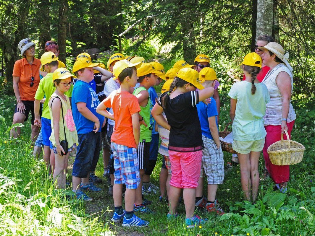 Ein spannender Kneipp-Projekttag für die Volksschüler aus Rankweil. Ein spannender Kneipp-Projekttag für die Volksschüler aus Rankweil.