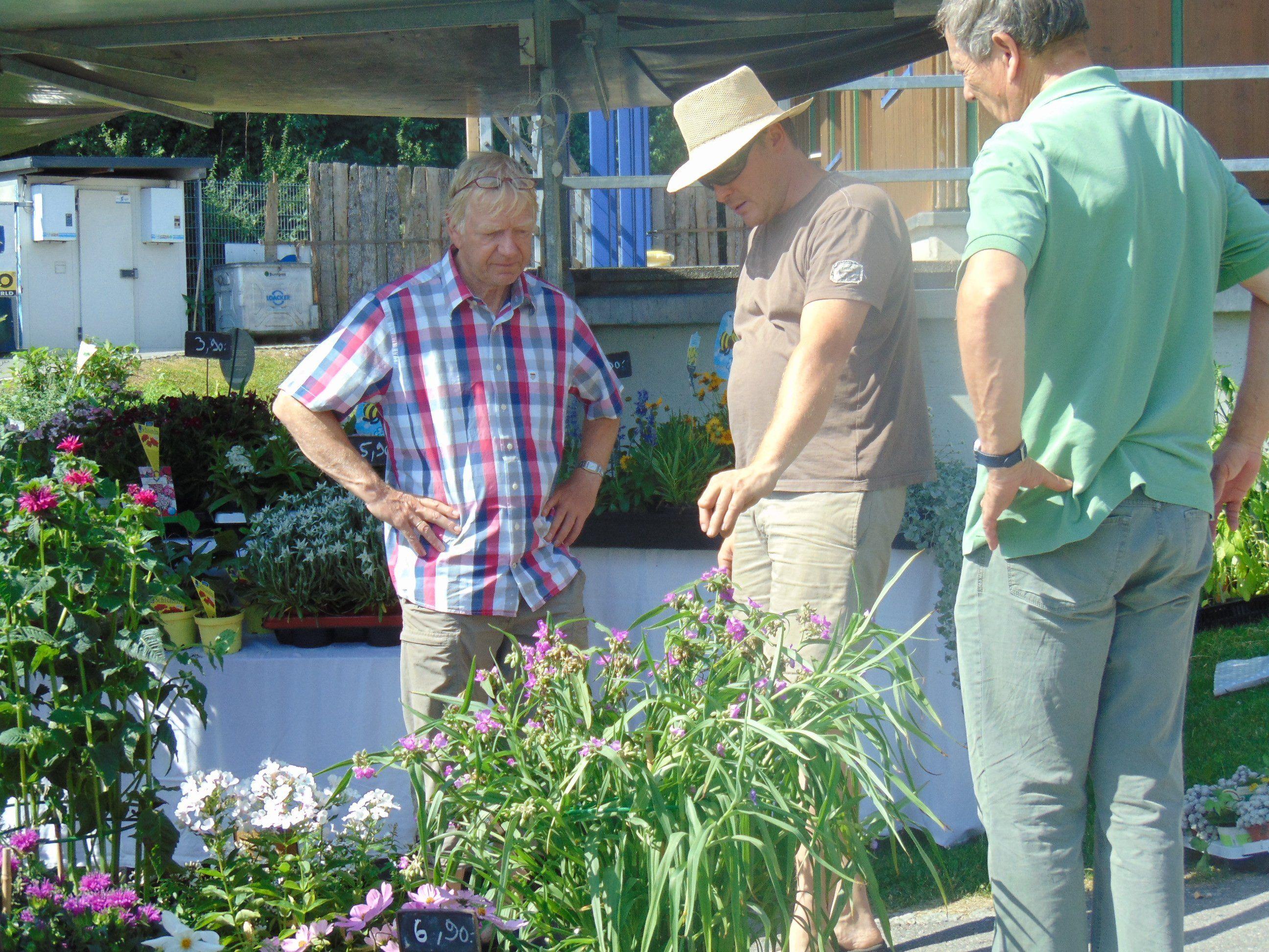 Die Besucher informierten sich über bienenfreundliche Pflanzen und Sträucher
