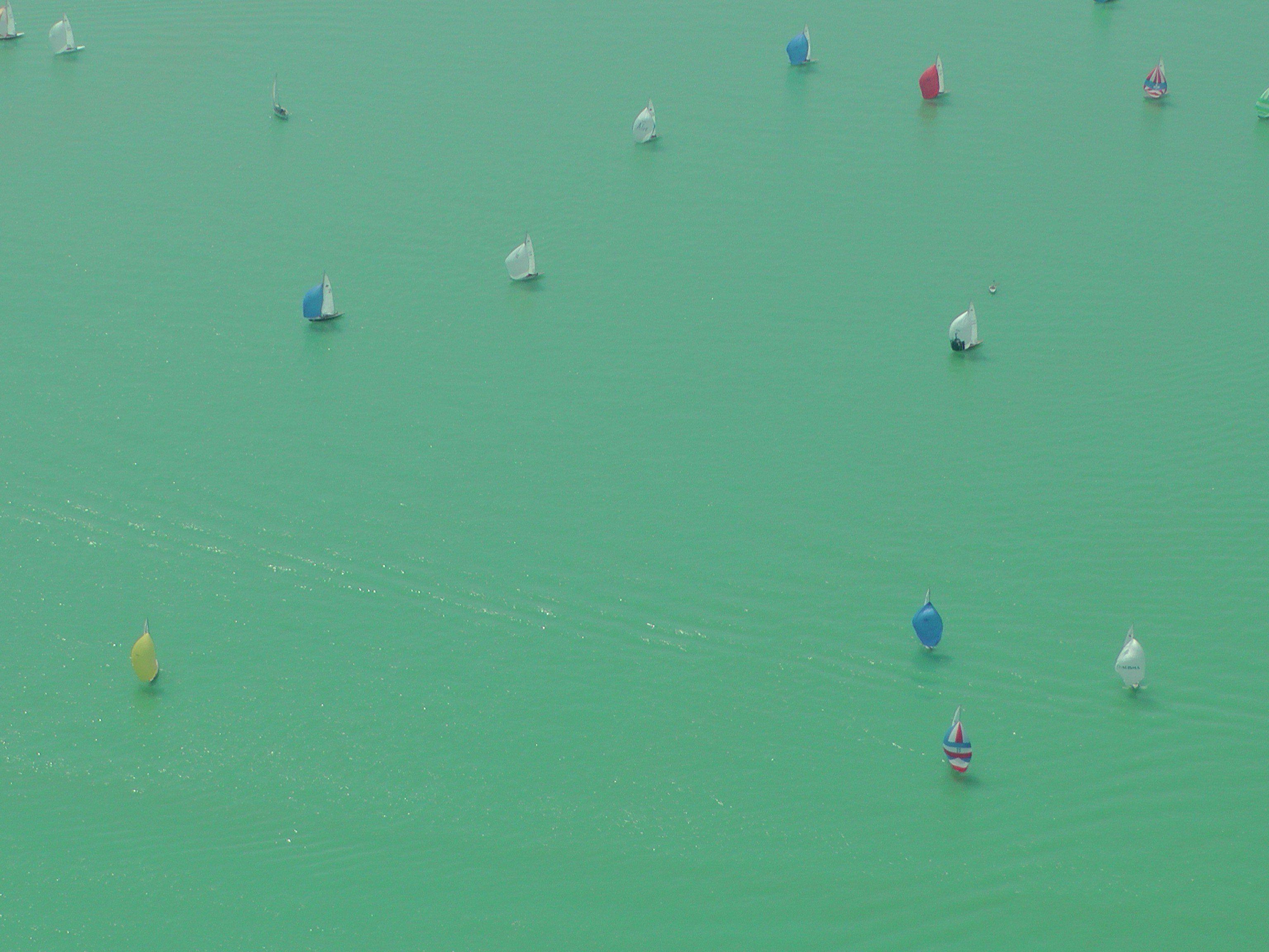Das Wasser färbt sich grün.