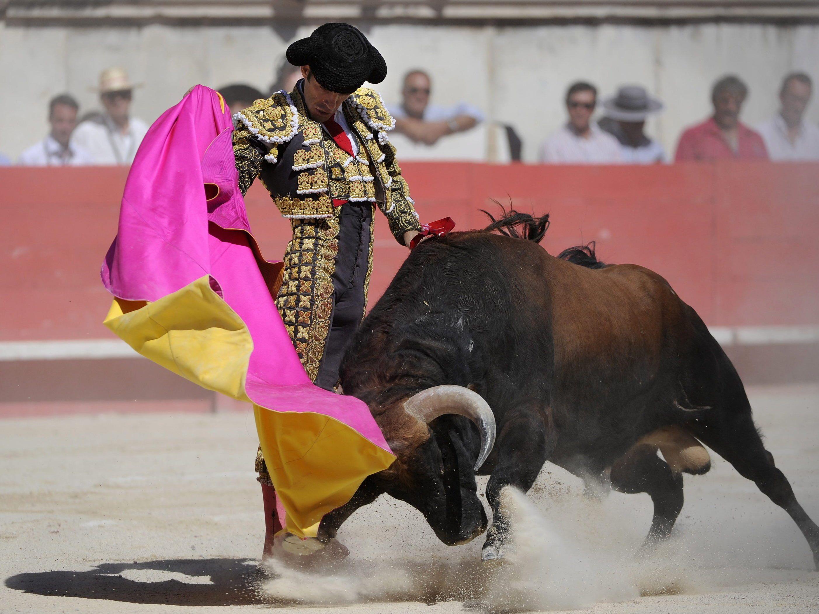 Keine Stierkämpfe mehr in Palma de Mallorca