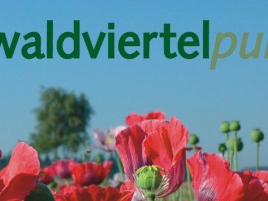 Vom 24. bis 26. August findet das Fest waldviertelpur am Heldenplatz statt. Vom 24. bis 26. August findet das Fest waldviertelpur am Heldenplatz statt.