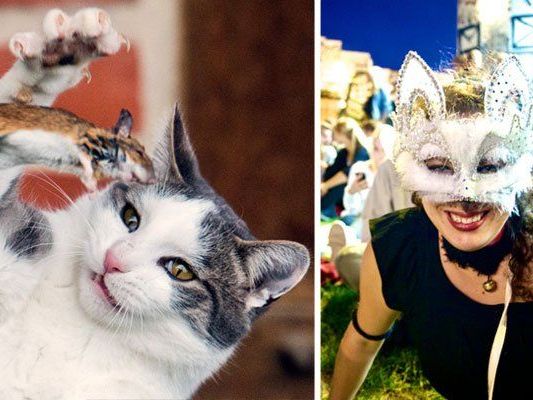 Ganz im Zeichen witziger Katzen steht das Cat Video Festival Vienna in der Arena (r.) Ganz im Zeichen witziger Katzen steht das Cat Video Festival Vienna in der Arena (r.)