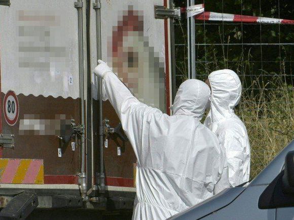 Das in der "Krone" veröffentlichte Foto gab den Blick ins Innere des Lkw frei. Das in der "Krone" veröffentlichte Foto gab den Blick ins Innere des Lkw frei.