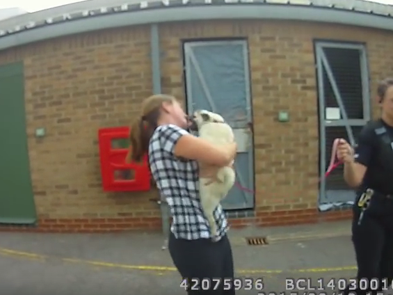 Mopsdame Lola findet Frauchen wieder Mopsdame Lola findet Frauchen wieder