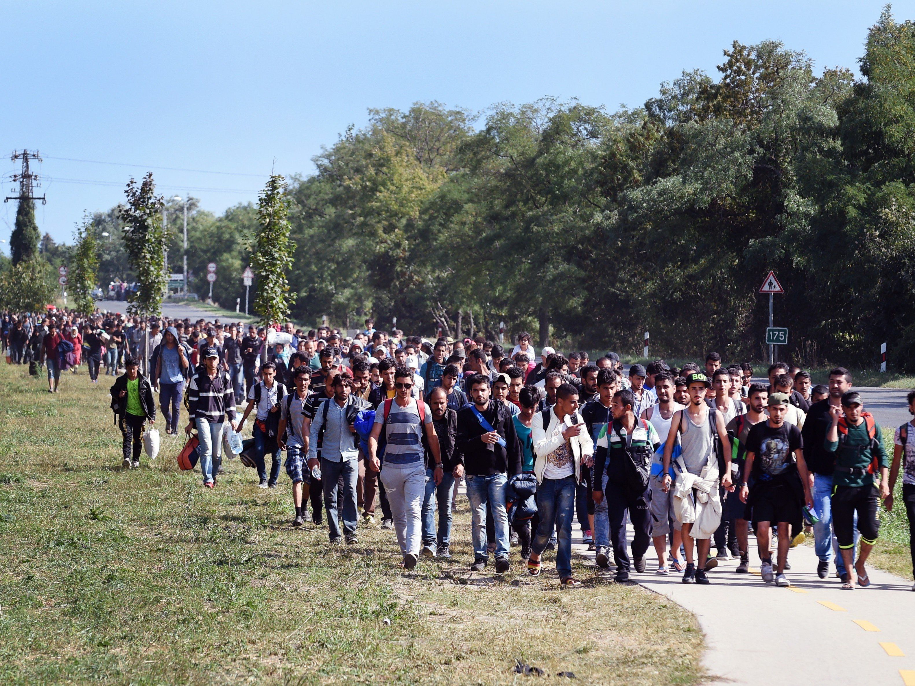 Flüchtlinge in Ungarn auf dem Weg in Richtung Westen. Flüchtlinge in Ungarn auf dem Weg in Richtung Westen.