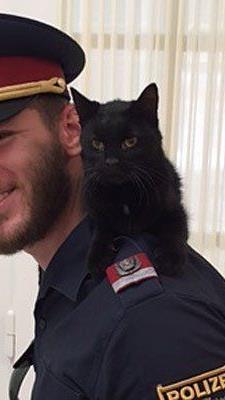 Einer der Polizisten mit der entwischten und geretteten Katze
