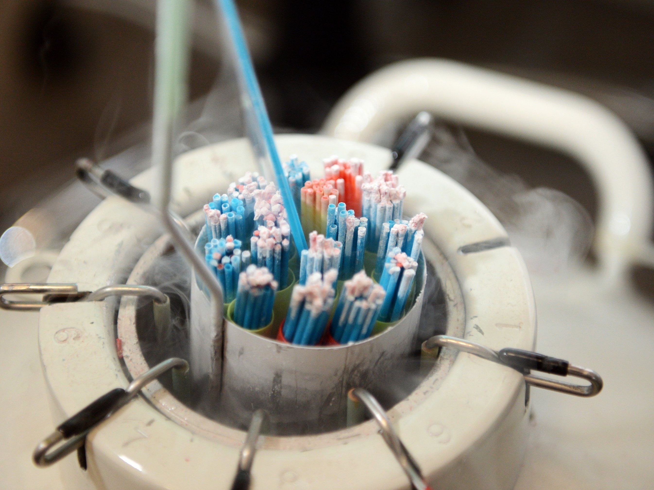 Samenspende für die Ex-Freundin. BGH muss entscheiden, ob Mann Unterhalt zahlen muss. Samenspende für die Ex-Freundin. BGH muss entscheiden, ob Mann Unterhalt zahlen muss.