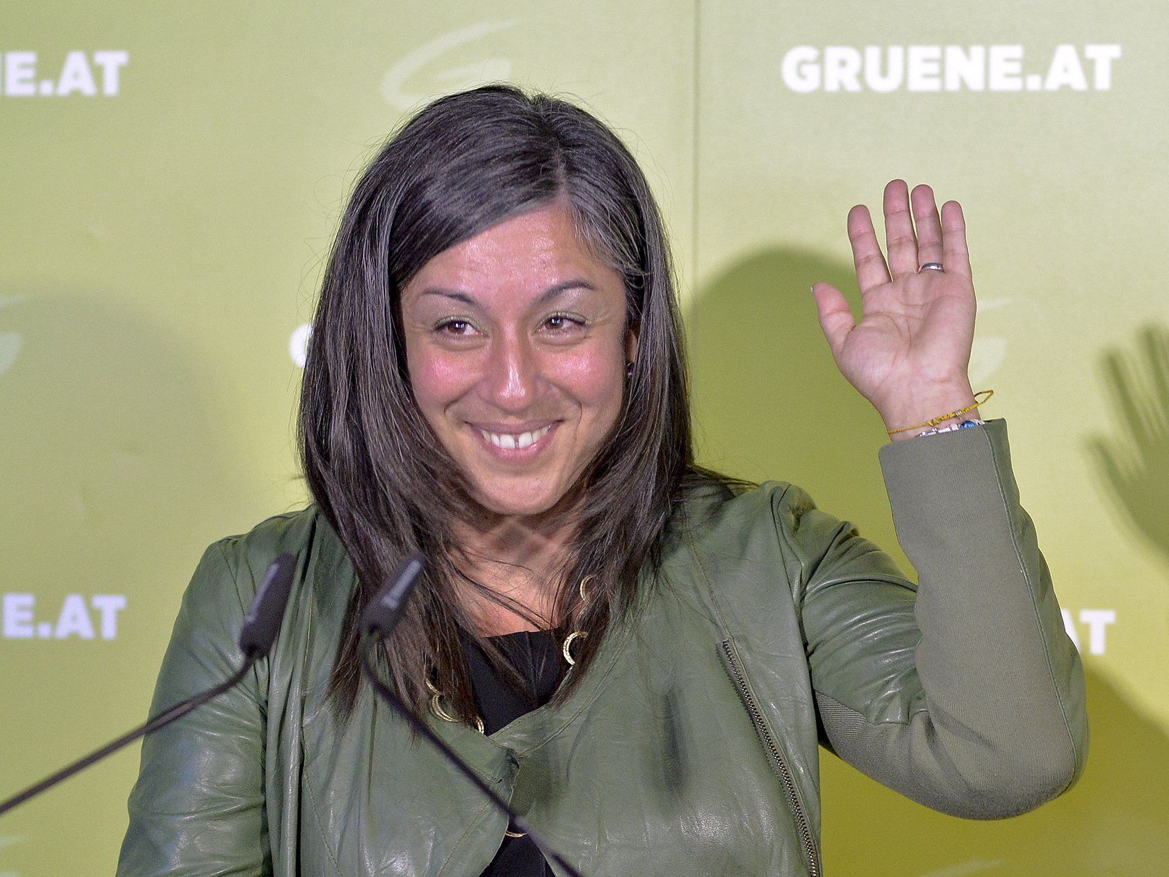 Wien-Wahl - Vassilakou-Rückzug laut Ellensohn überhaupt kein Thema Wien-Wahl - Vassilakou-Rückzug laut Ellensohn überhaupt kein Thema