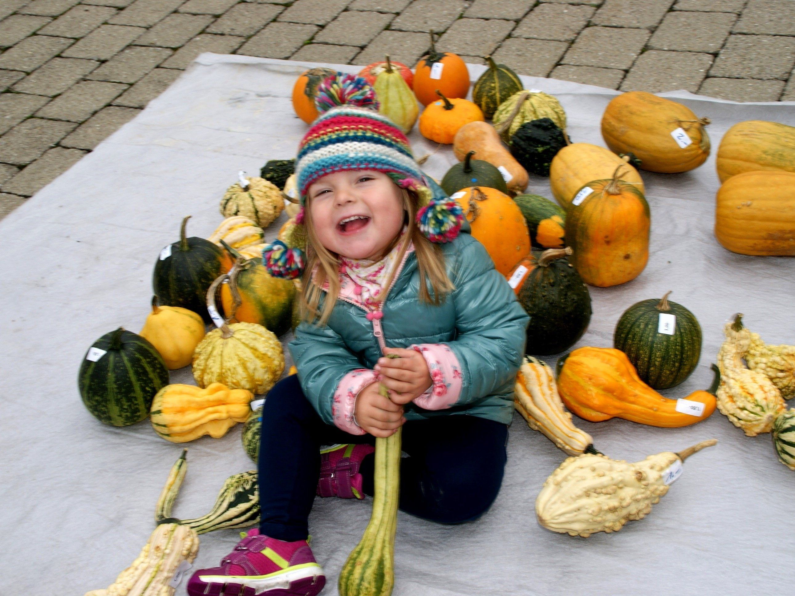 Amelie-Sophie (3) suchte einen passenden Kürbis für zu Hause. Amelie-Sophie (3) suchte einen passenden Kürbis für zu Hause.