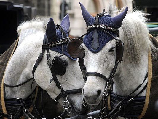 Bei einem schweren Unfall in Meidling wurden Fiaker-Pferde verletzt - eines davon starb Bei einem schweren Unfall in Meidling wurden Fiaker-Pferde verletzt - eines davon starb