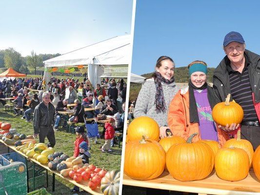 Vom 24. bis 26. Oktober findet wieder das Kürbisfest statt. Vom 24. bis 26. Oktober findet wieder das Kürbisfest statt.