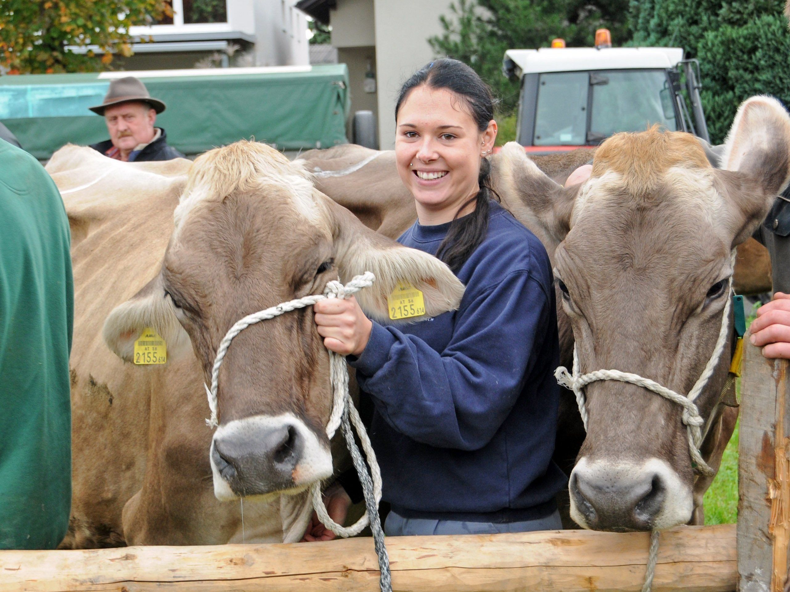 Am Freitag, den 16. Oktober, lädt der Viehzuchtverein wieder zur Viehausstellung in Höchst ein. Am Freitag, den 16. Oktober, lädt der Viehzuchtverein wieder zur Viehausstellung in Höchst ein.