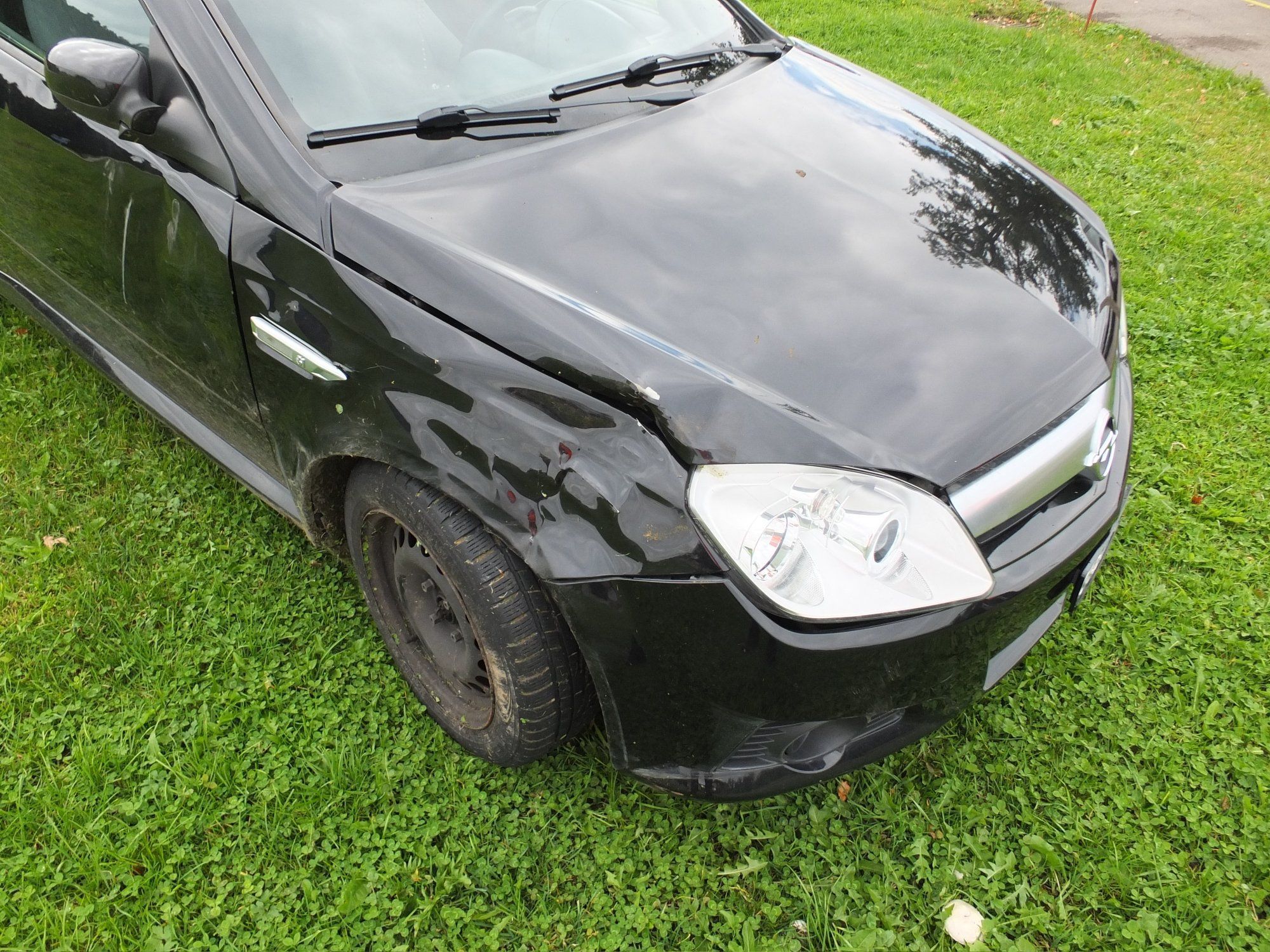 Zuzwil: Bei Autounfall mit Kühen kollidiert. Zuzwil: Bei Autounfall mit Kühen kollidiert.