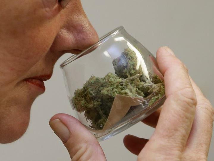 Cannabis-Präparate werden in Kroatien erlaubt.