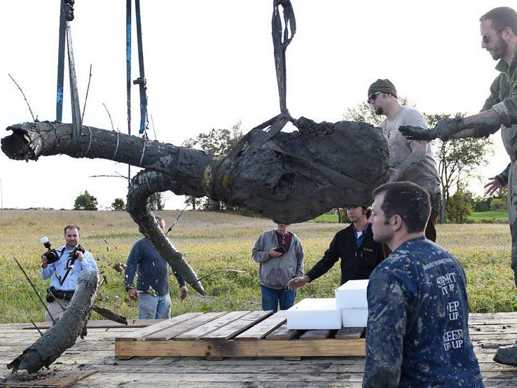 Becken, Rückenwirbel, Schulterblätter, Stoßzähne und Schädel gefunden. Becken, Rückenwirbel, Schulterblätter, Stoßzähne und Schädel gefunden.