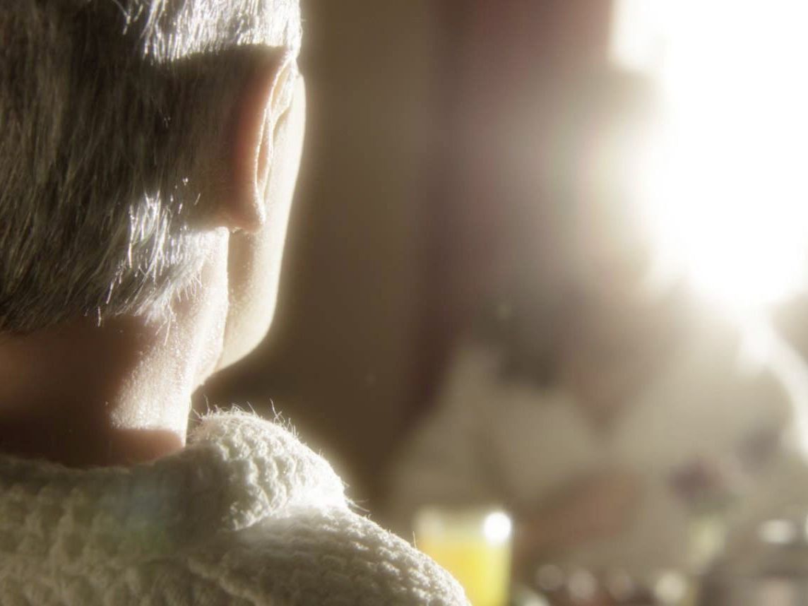 53. Viennale endet mit Preisverleihung und "Anomalisa" 53. Viennale endet mit Preisverleihung und "Anomalisa"