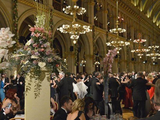 Am 15. Jänner gibt es im Rathaus wieder ein Blumenmeer zu bestaunen. Am 15. Jänner gibt es im Rathaus wieder ein Blumenmeer zu bestaunen.