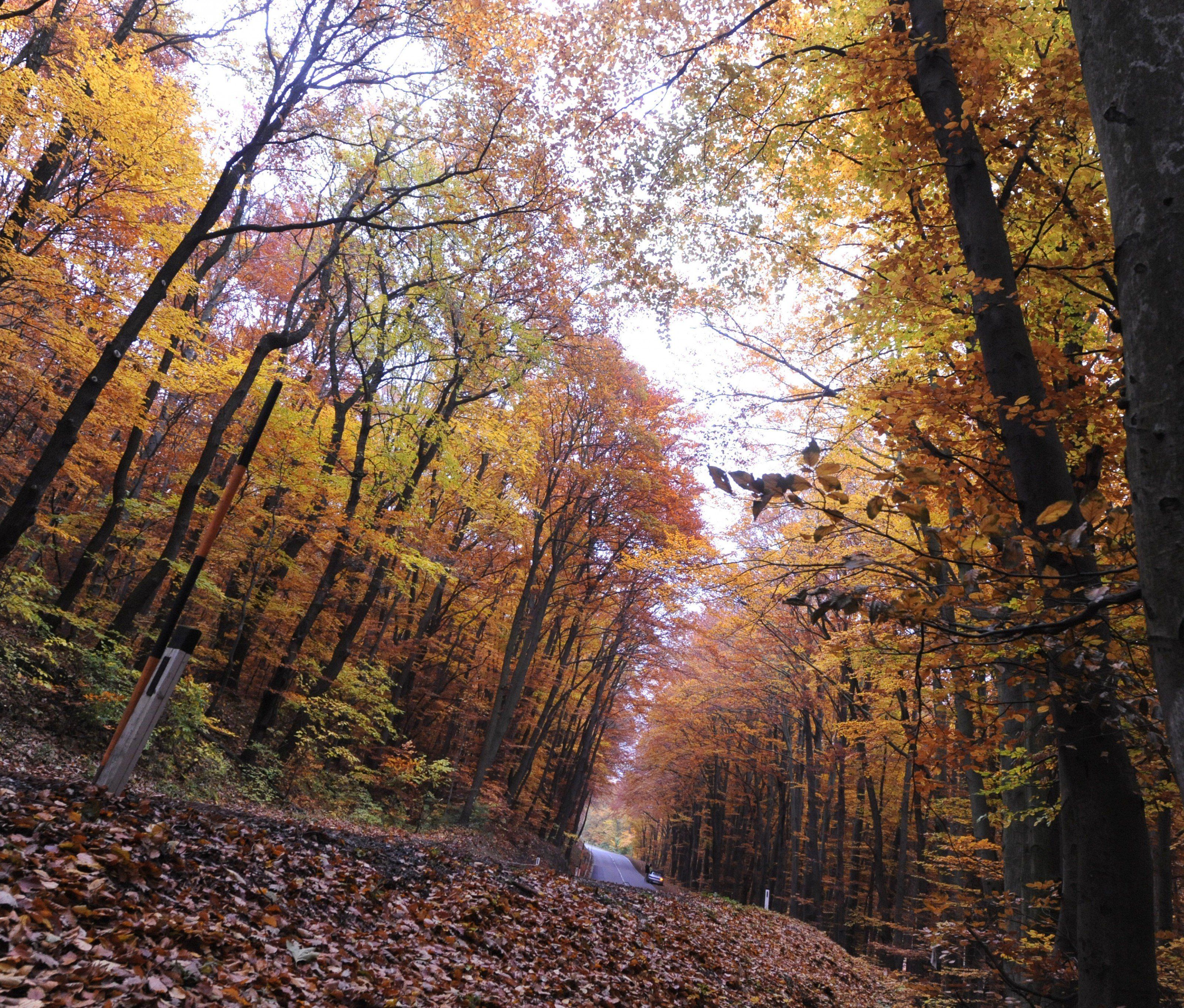 Die betreiber wollen den Bau "auf alle Fälle umsetzen". Die betreiber wollen den Bau "auf alle Fälle umsetzen".
