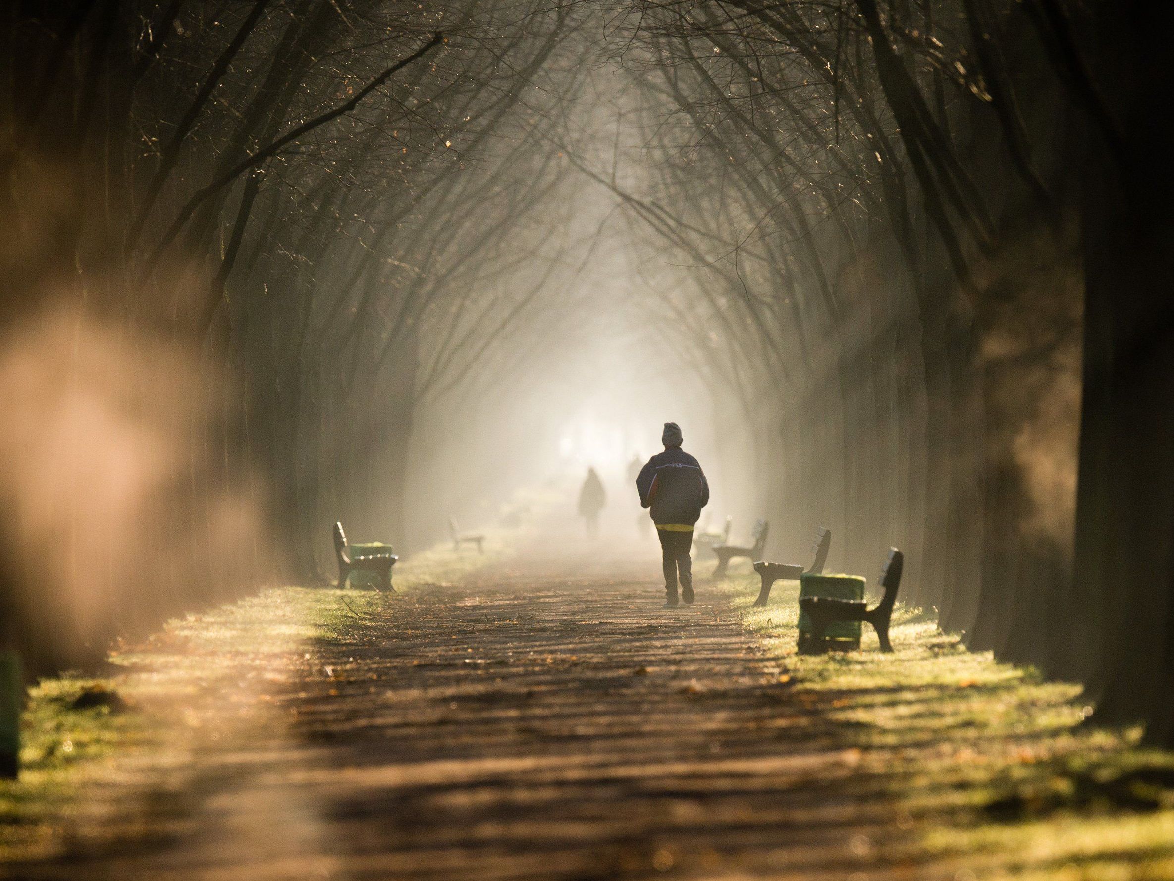 Mildes Wetter in den kommenden Tagen Mildes Wetter in den kommenden Tagen